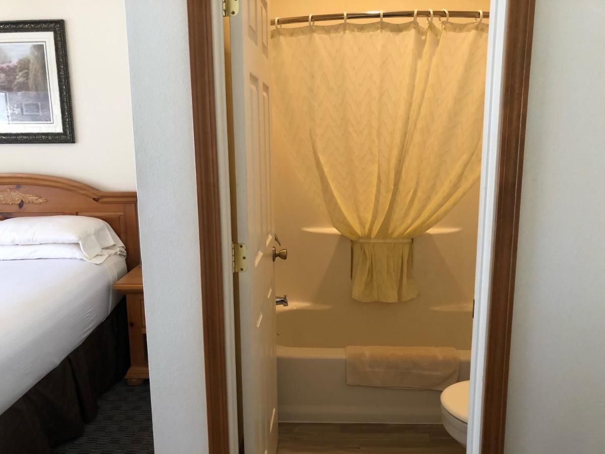 Habitación Estándar - 1 cama grande 