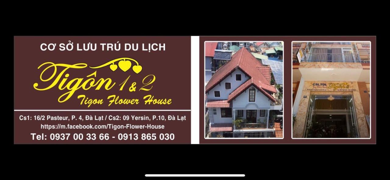 Tigon Flower House - B&B Da Lat