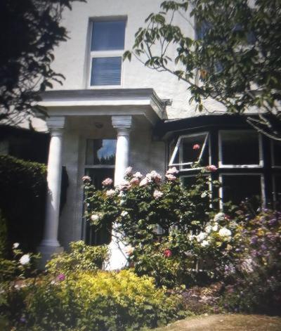 The Swallows B and B - B&B Exmouth