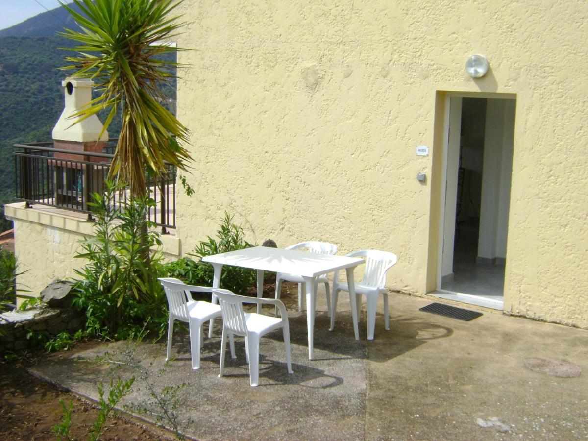 Les Asphodèles - B&B