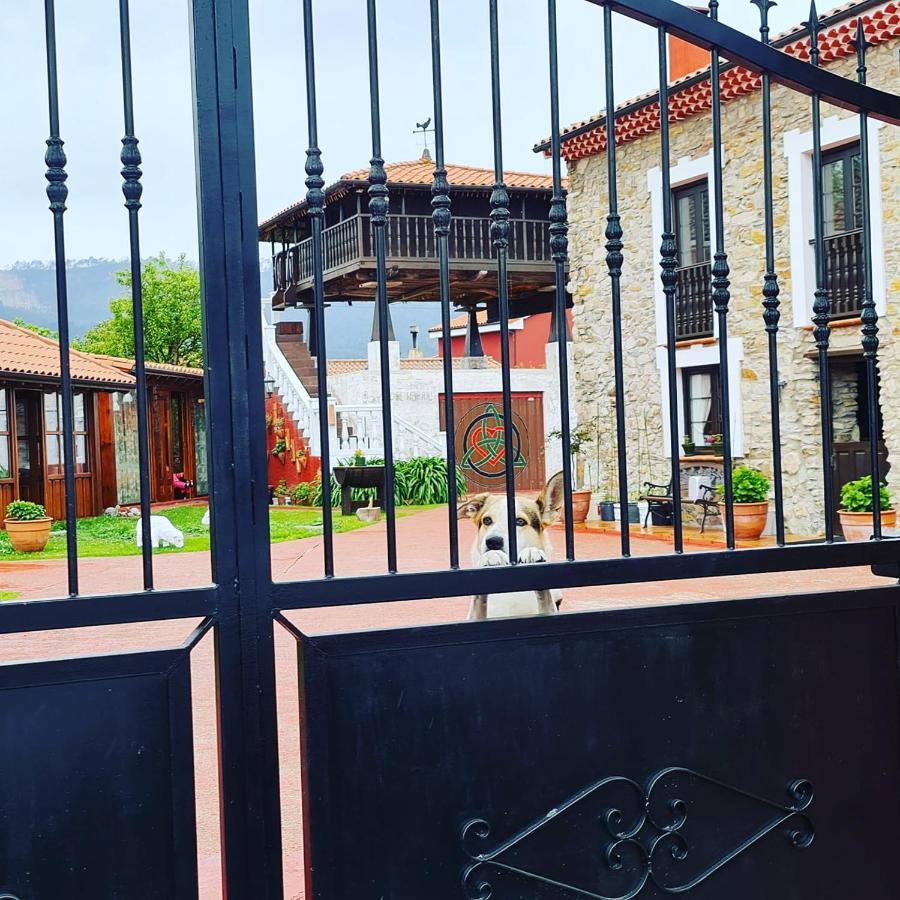 El Perlindango - B&B