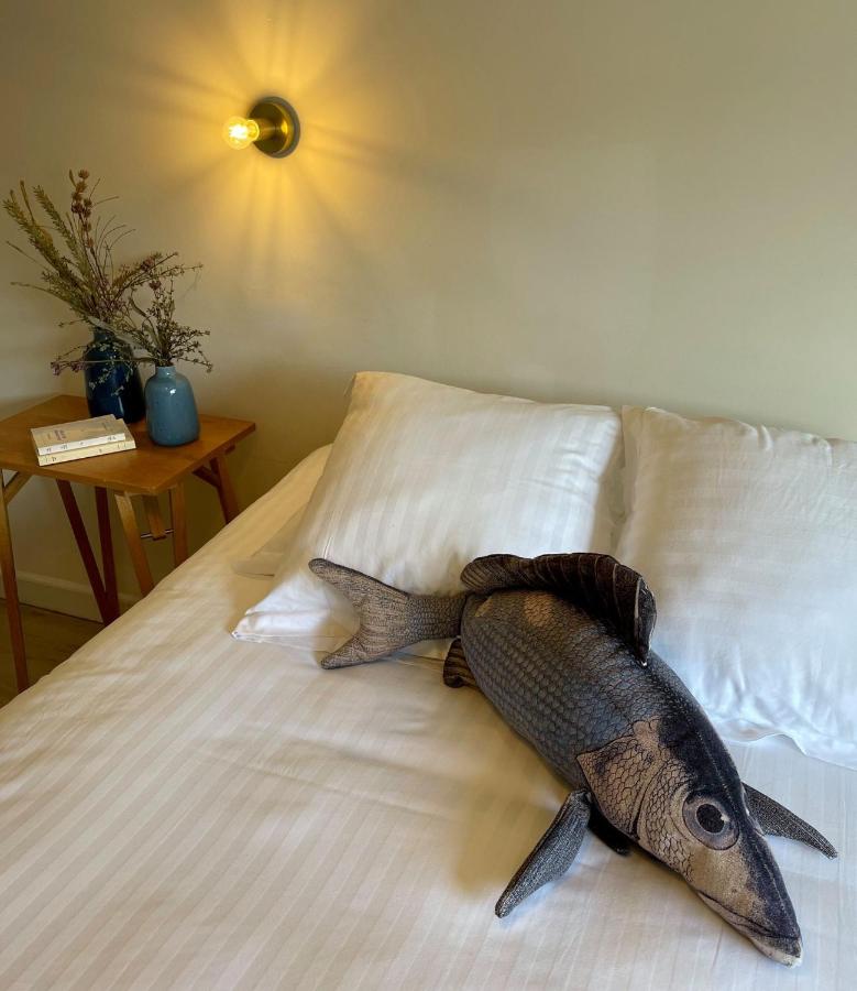 Standard Room - Blue Fish