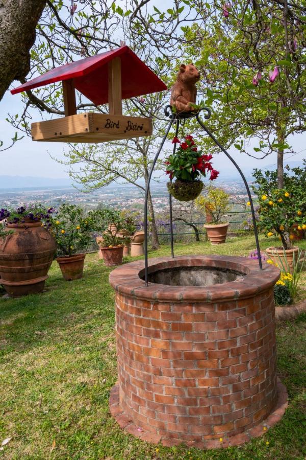 Poggio Leporaia - B&B Lamporecchio