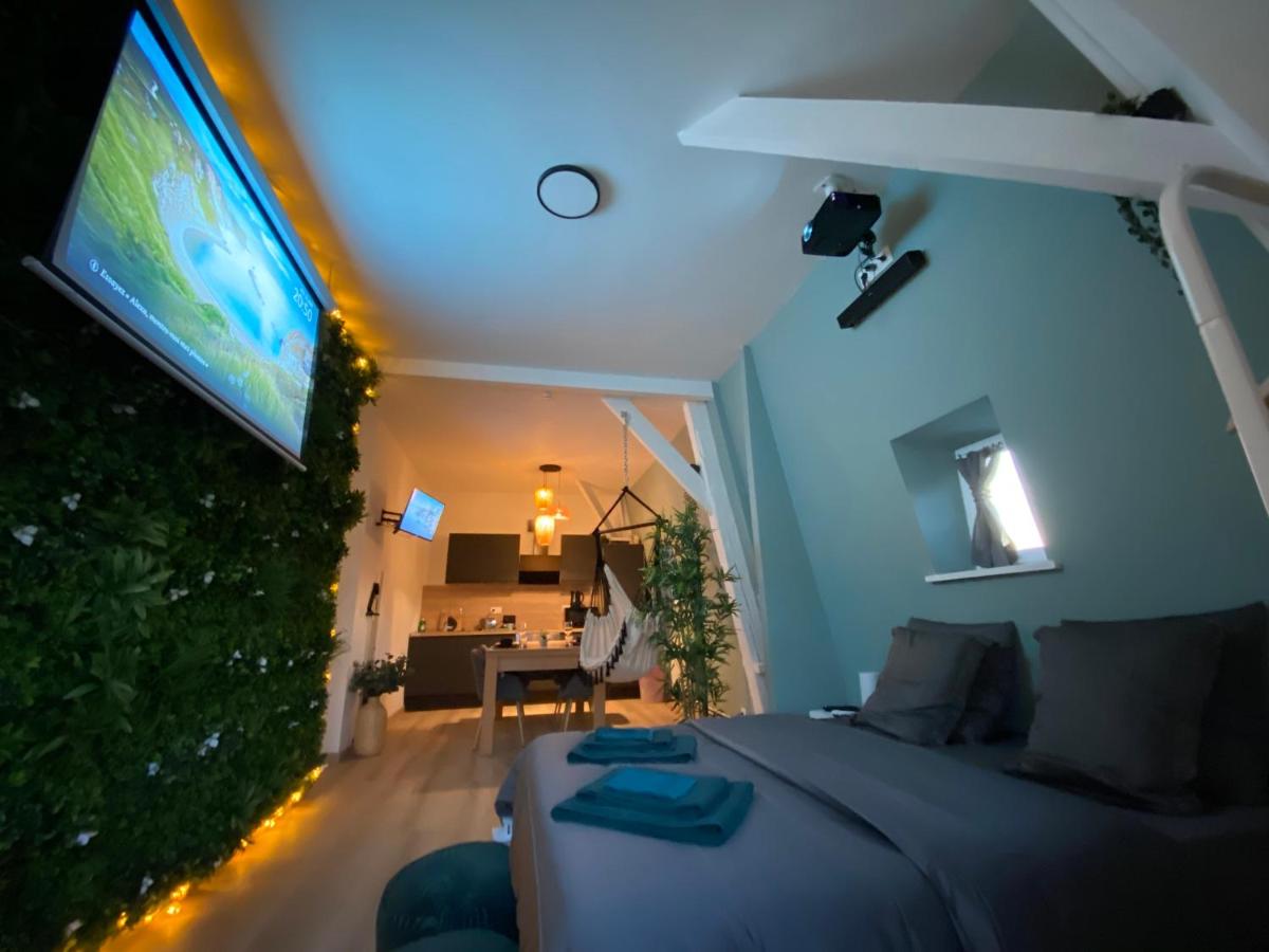 ZEN - Roubaix-Lille - Balneo - Home cinéma - Billard - B&B Roubaix