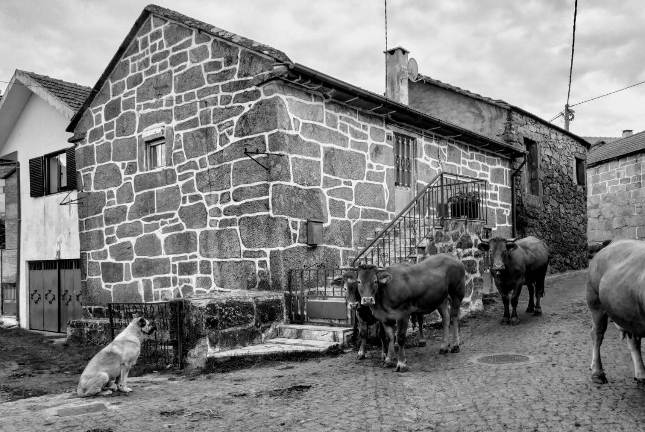 Pé na Aldeia - B&B Outeiro