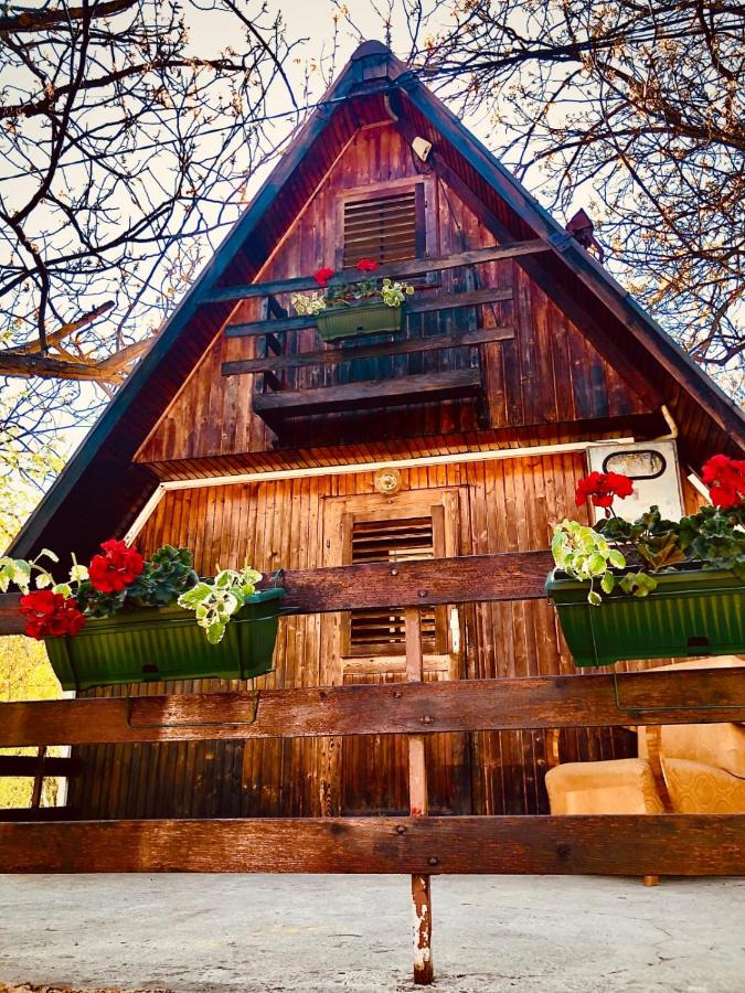 Jagodinska Oaza - B&B