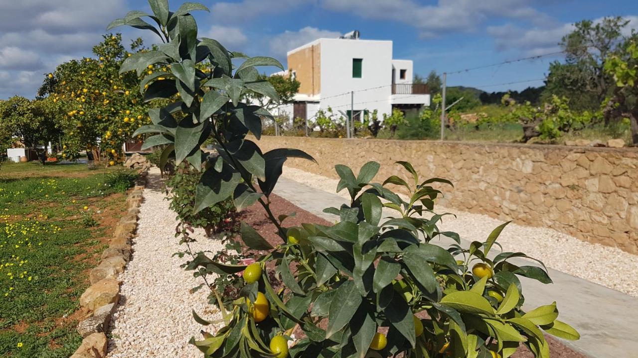 Finca Can Pepis - B&B Santa Agnès de Corona