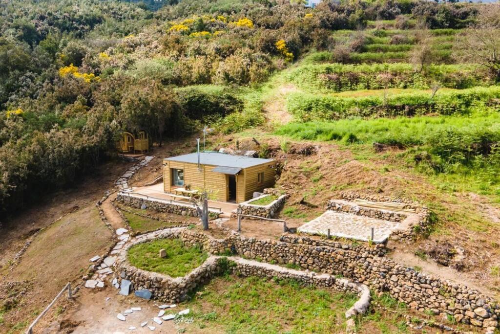 El Pino Centenario 3 - Chambres d’hôtes