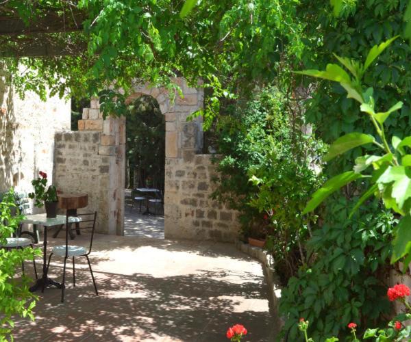 One-Bedroom Apartment with Garden View