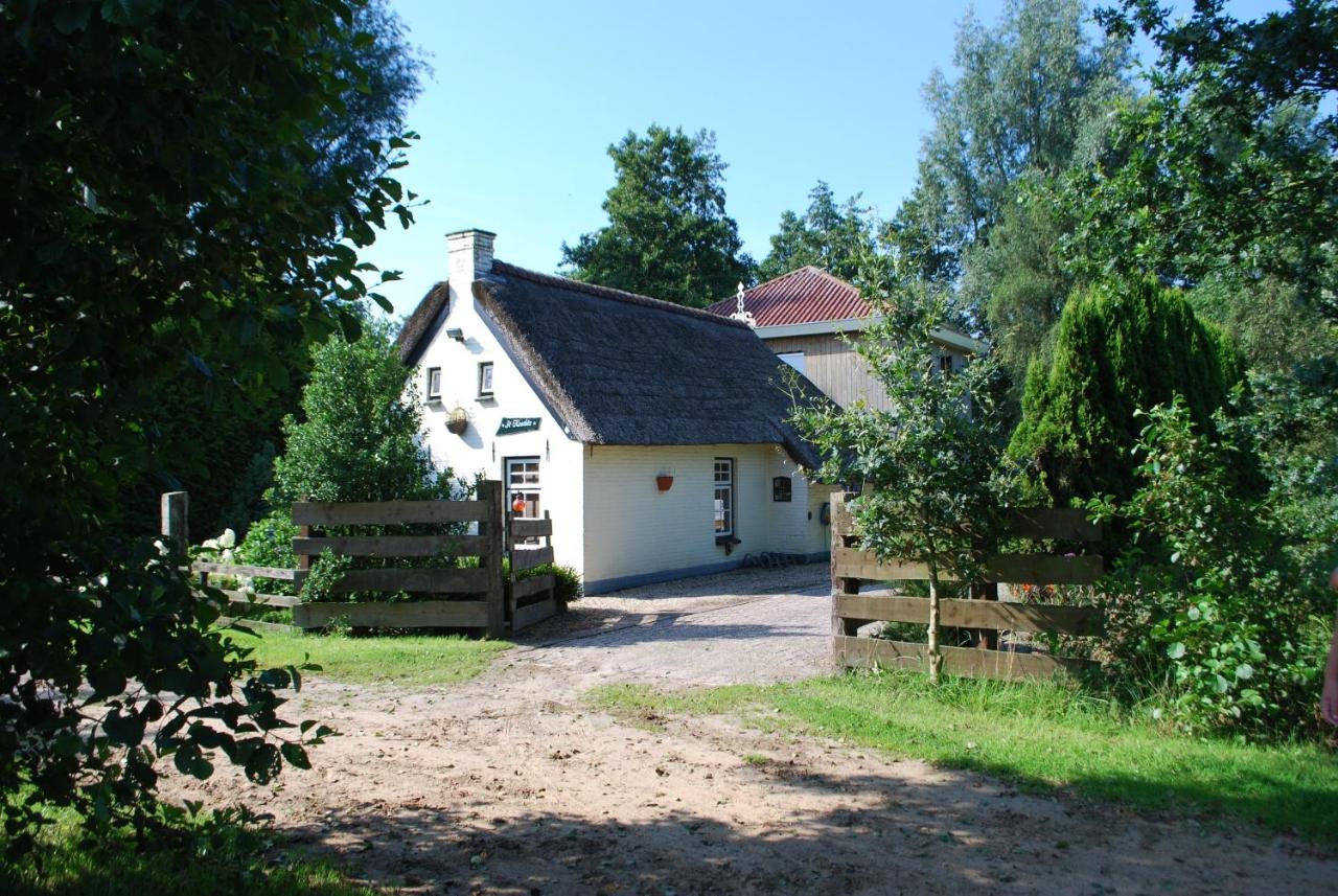 Vakantiehuis "It koaihûs" - B&B