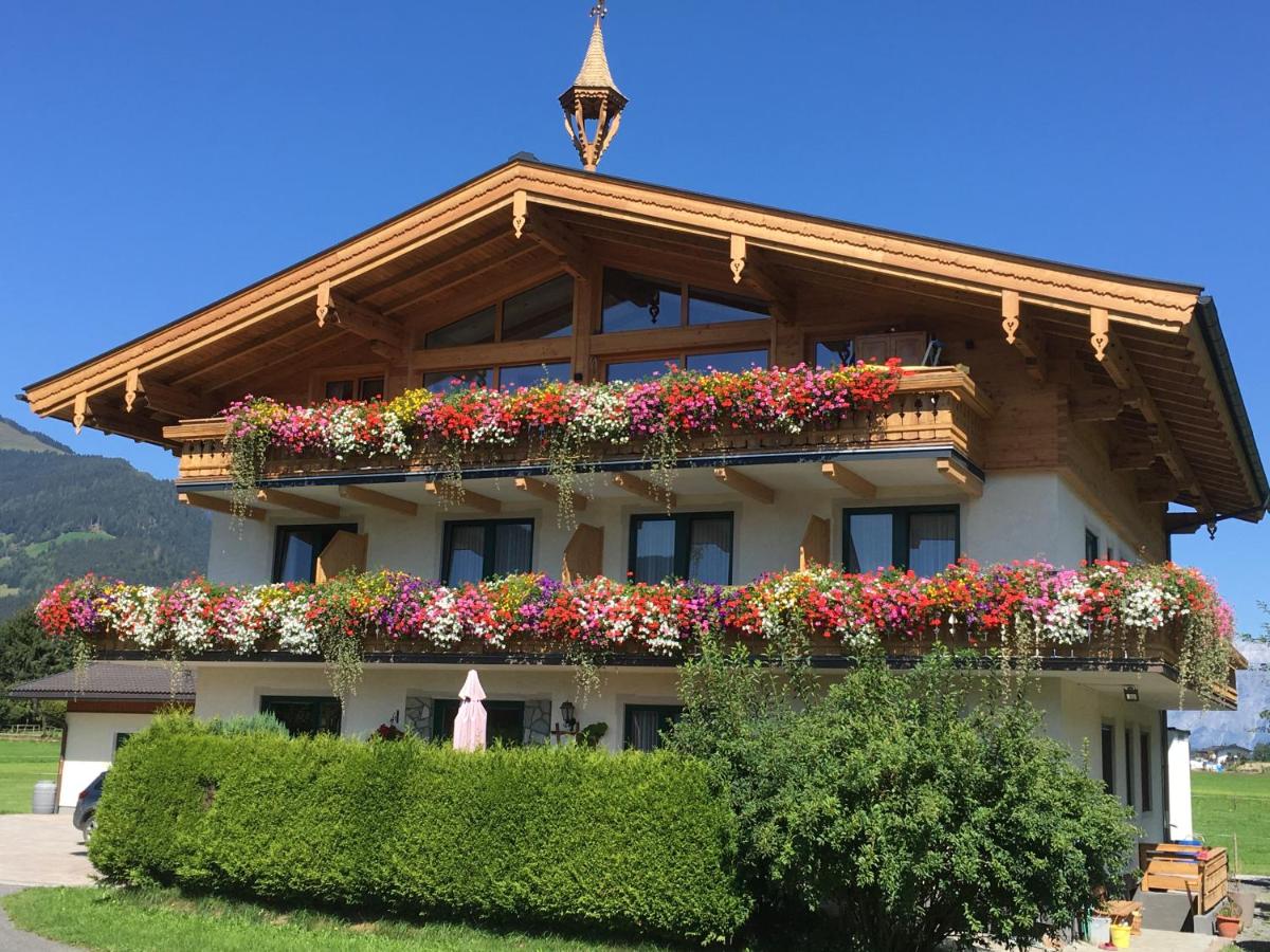 Appartement Pointschneiderhof - Ferienwohnung