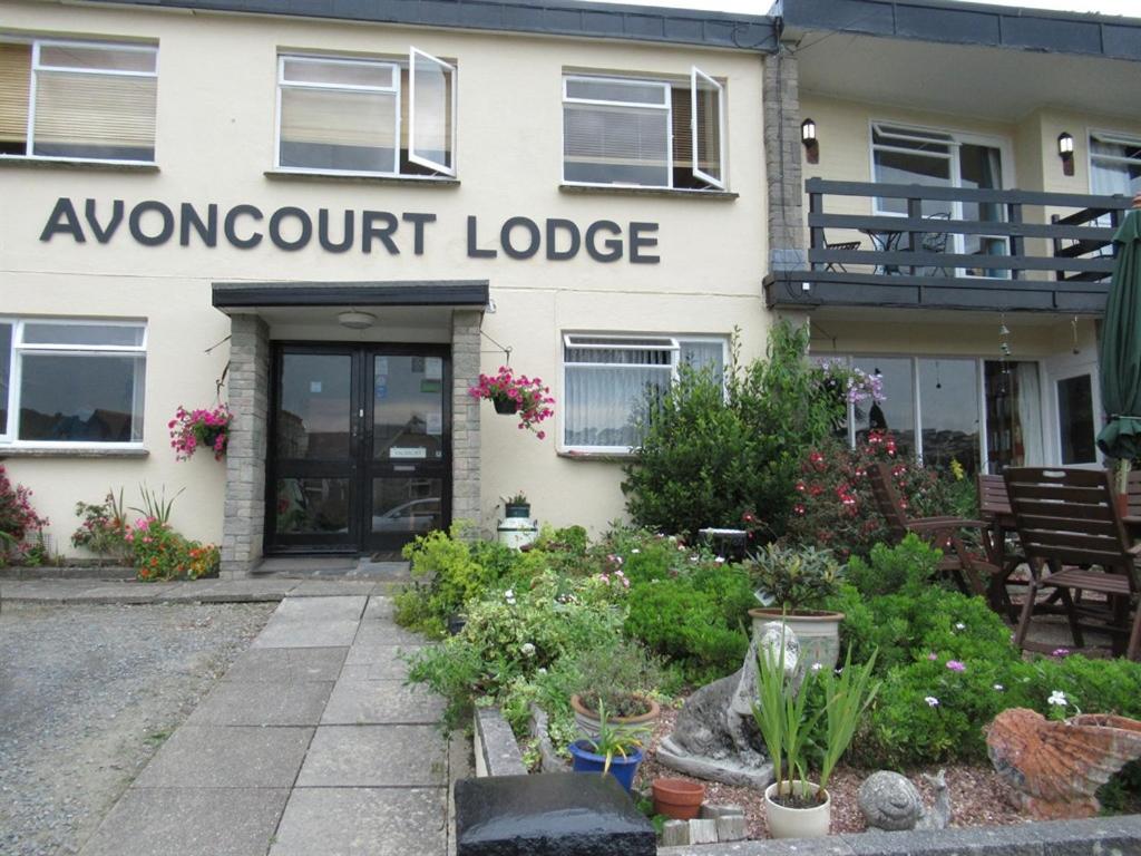 B&B Ilfracombe - Avoncourt Lodge - Bed and Breakfast Ilfracombe