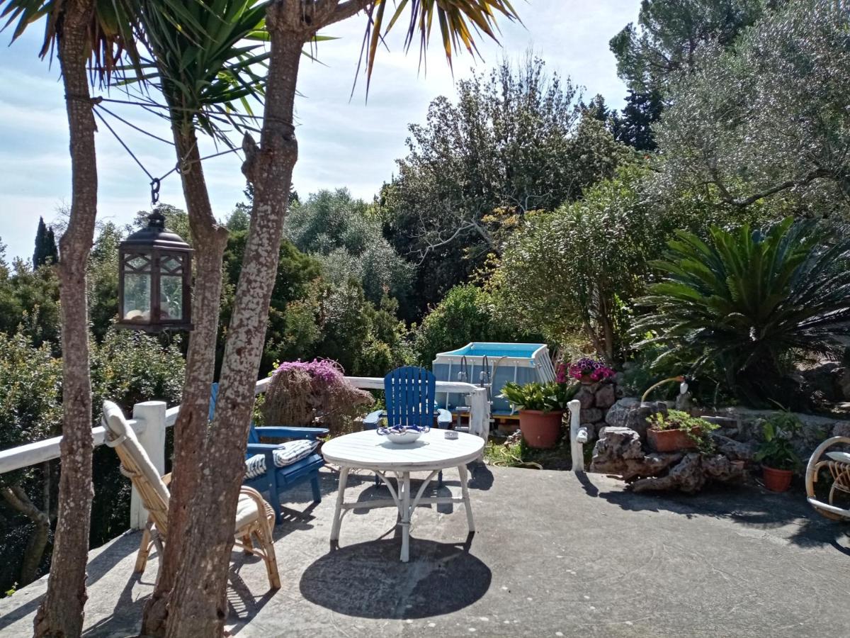Cottage Pura Vigna immerso nella natura vicino al mare - Bed and Breakfast