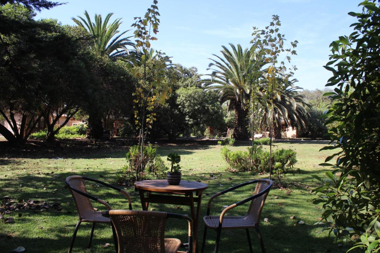 Eco Refugio El Arbol - B&B La Serena