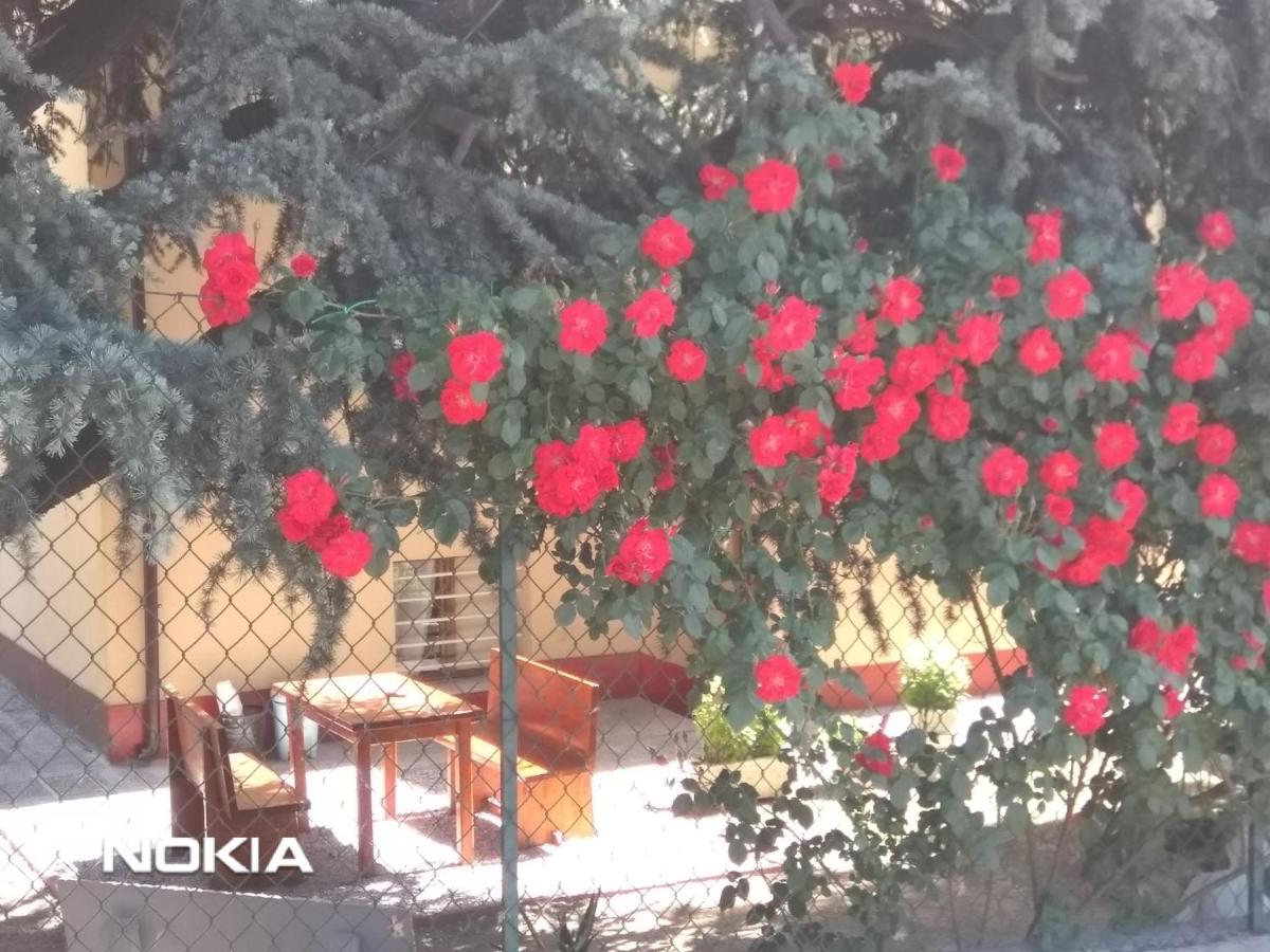 Villa Lilli 3 - B&B Ferrara