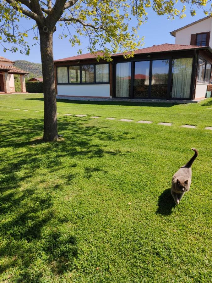 Agriturismo Il Cavallino Saturnia - Ferienwohnung Semproniano