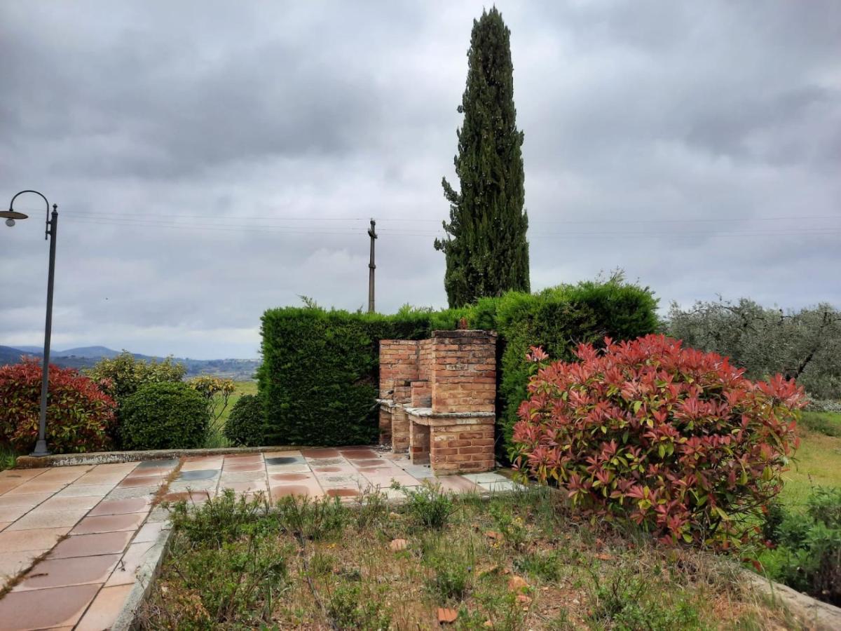 Agriturismo Fattoria il Piano - Casa Bugno - San Gimignano - B&B San Gimignano