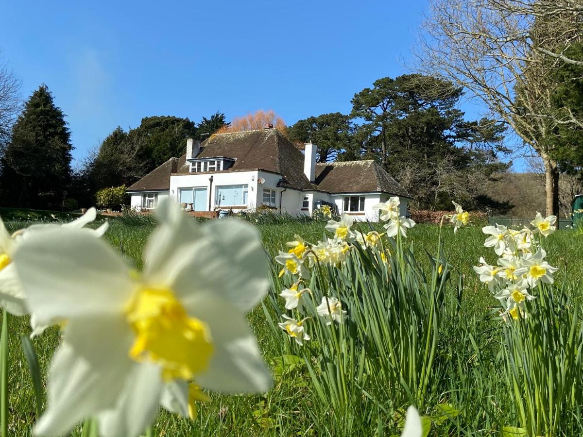 Broad Mead - B&B