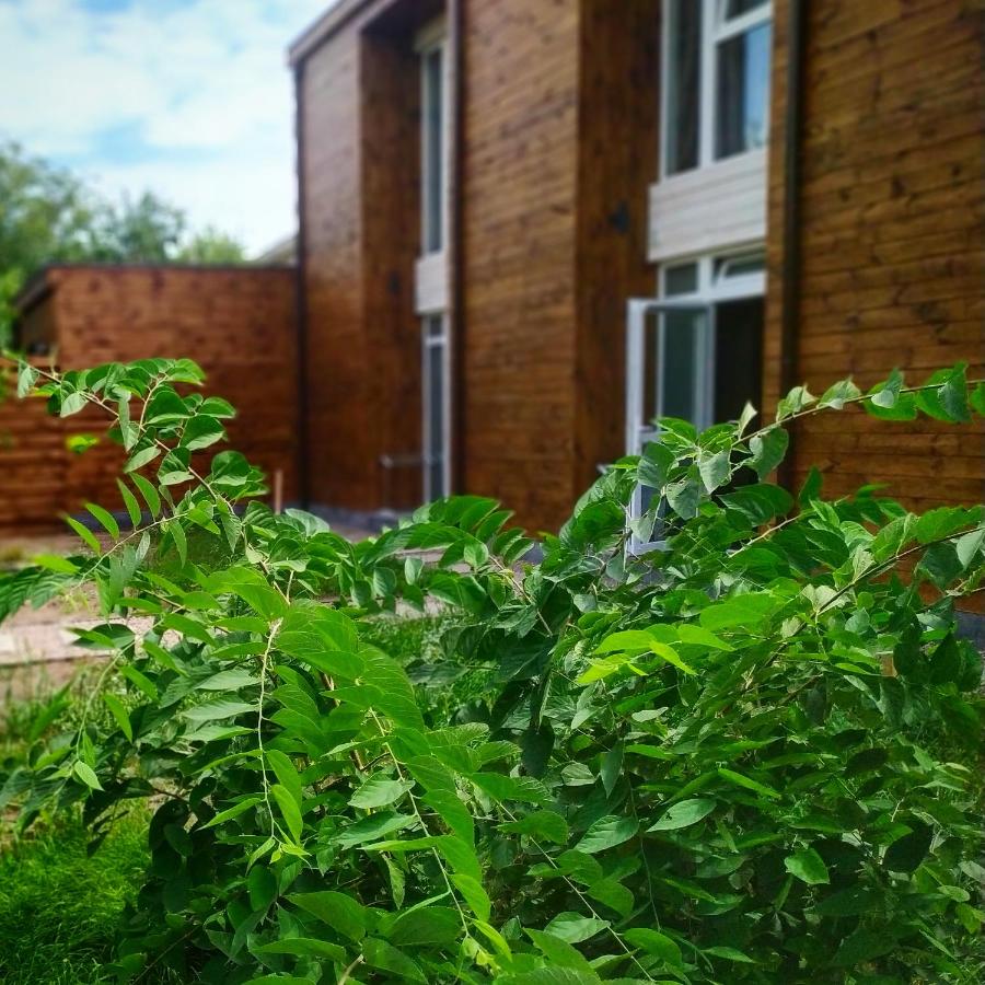 Apartments Duplex Odesa - B&B Odessa