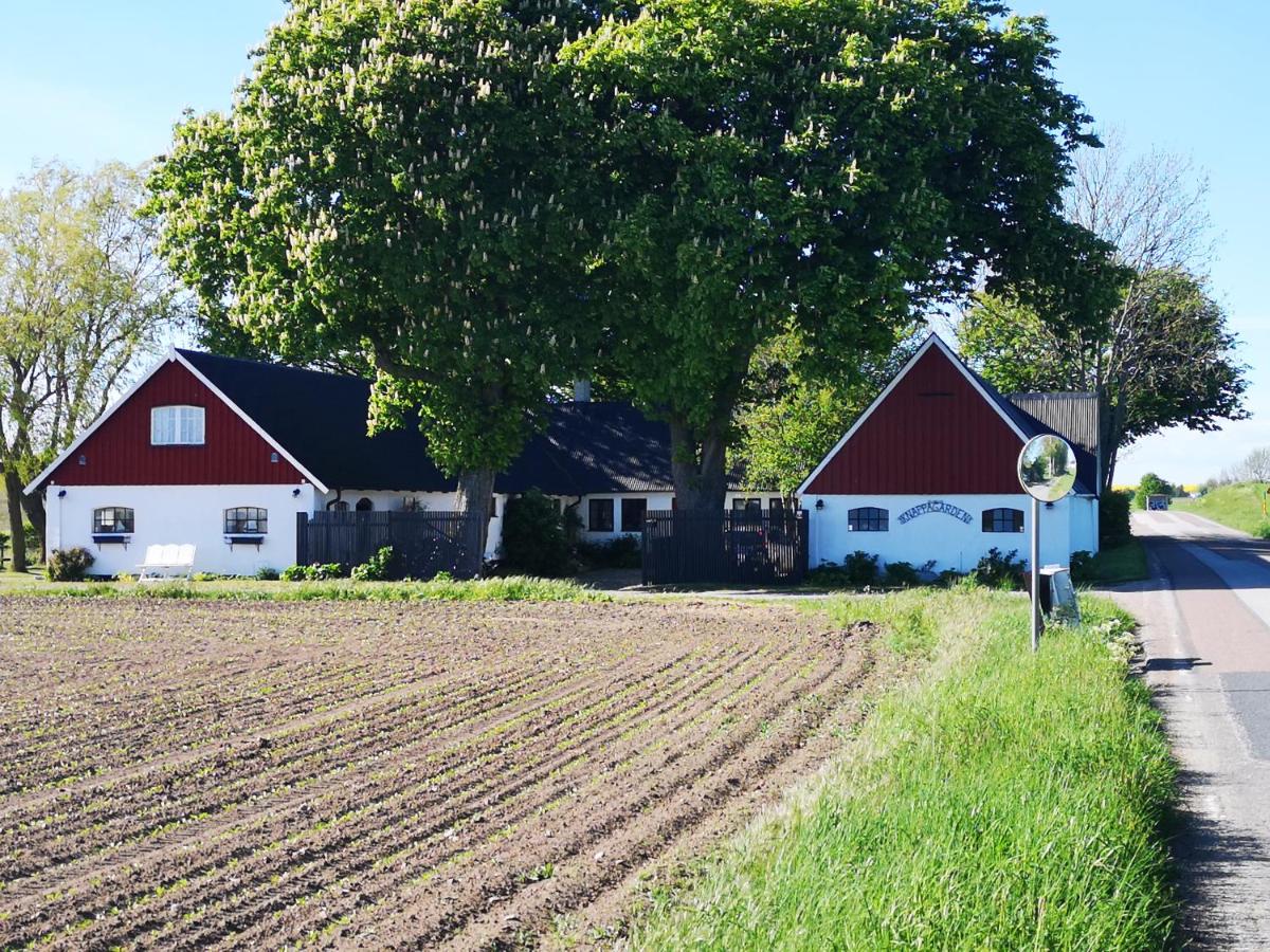 Knappagården - B&B