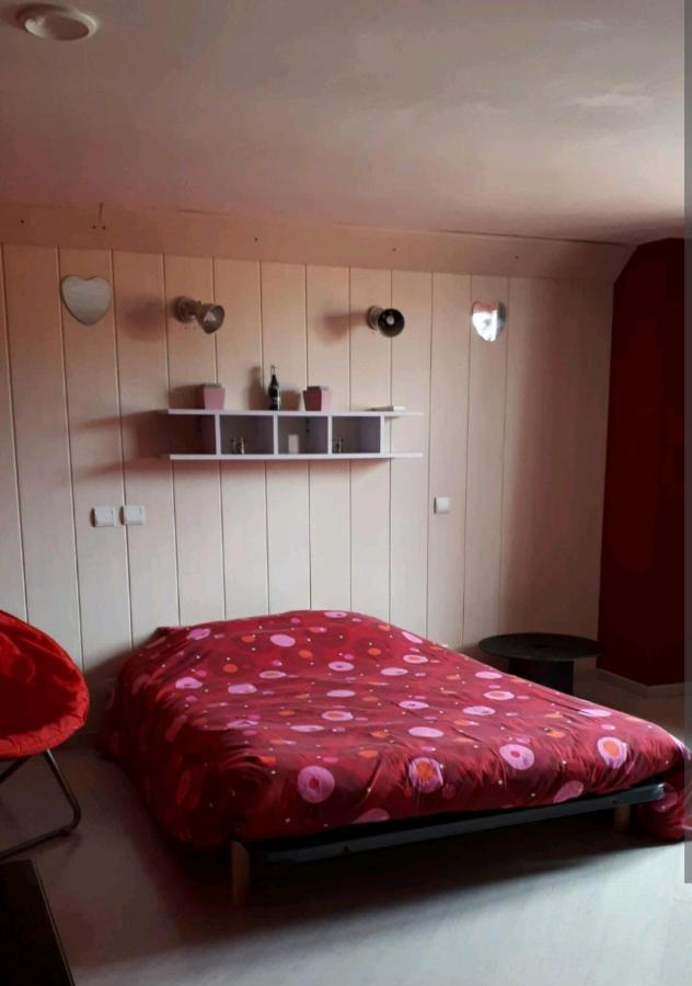 Chambre spacieuse et lumineuse - B&B