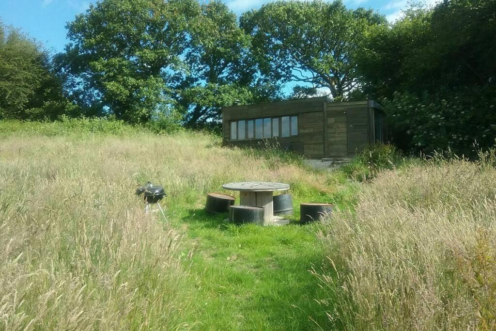 Stags View,Unique eco cabin, Dartmoor views - Bed and Breakfast