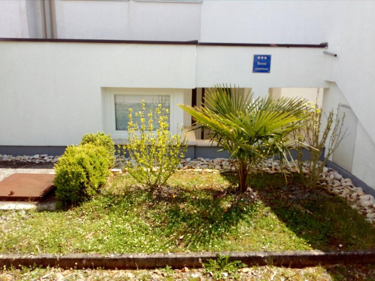 Apartment Mato - B&B Barbariga