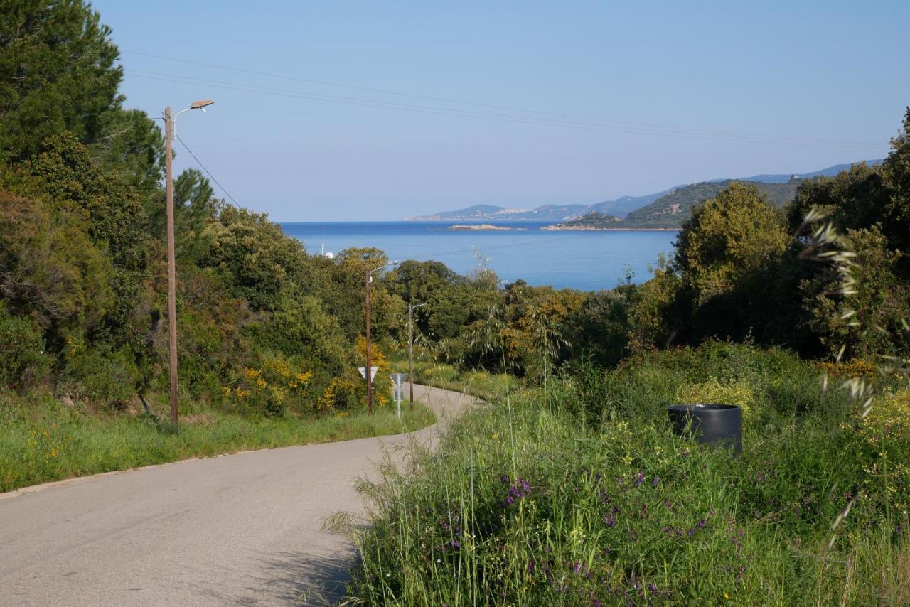 Narval Gris - B&B Calcatoggio