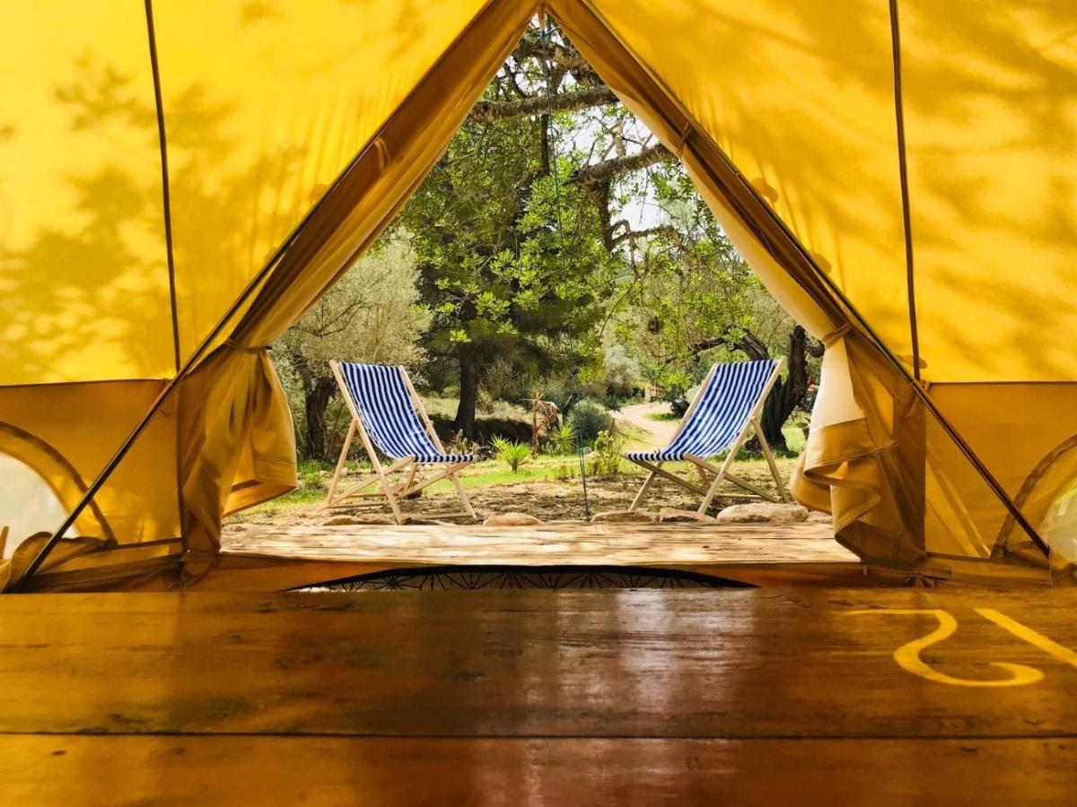 Family bell tent - B&B