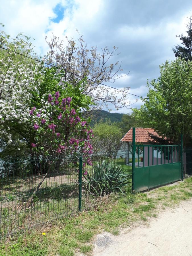 Dedin raj - Bed and Breakfast