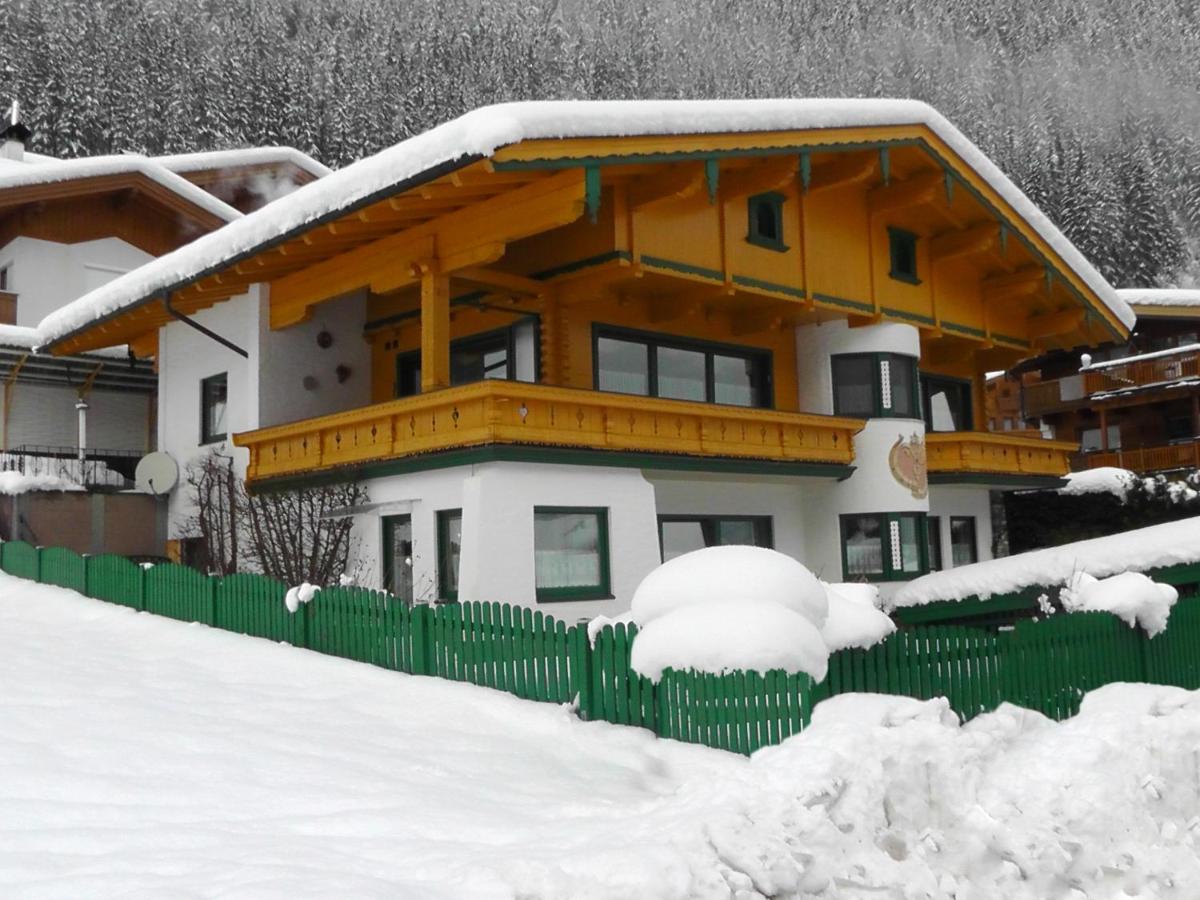 Appartementhaus Zillertal by PiaundDirk - B&B Finkenberg