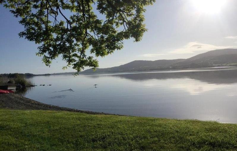 Lakeside Cottage - B&B Killaloe