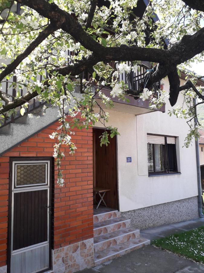 Rakić apartman - B&B