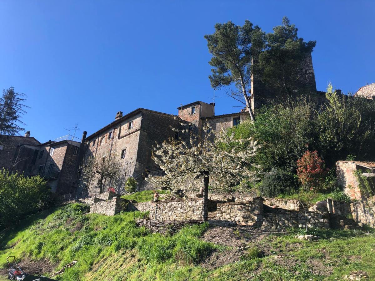 Lemon Tree Boutique Guest House - Bed and Breakfast Todi