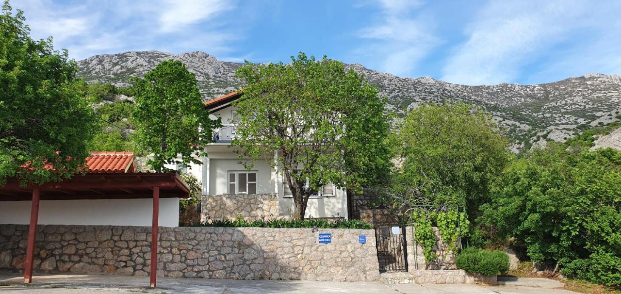 B&B Cesarica - Apartman Marija - Bed and Breakfast Cesarica