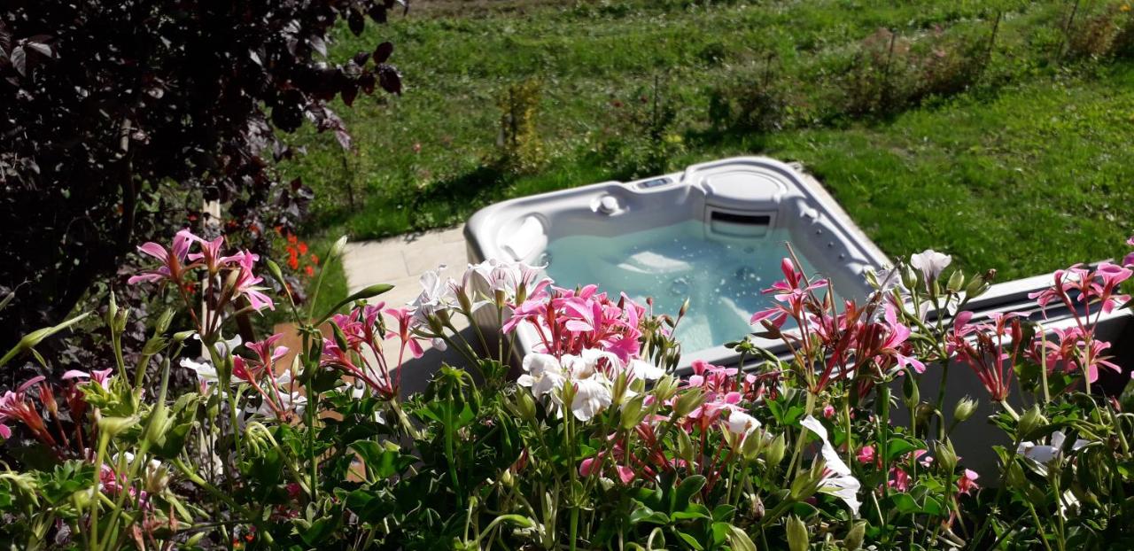 A4 km de Megève très joli studio avec jacuzzi ,vue sur les montagnes au calme - Ferienwohnung Praz-sur-Arly