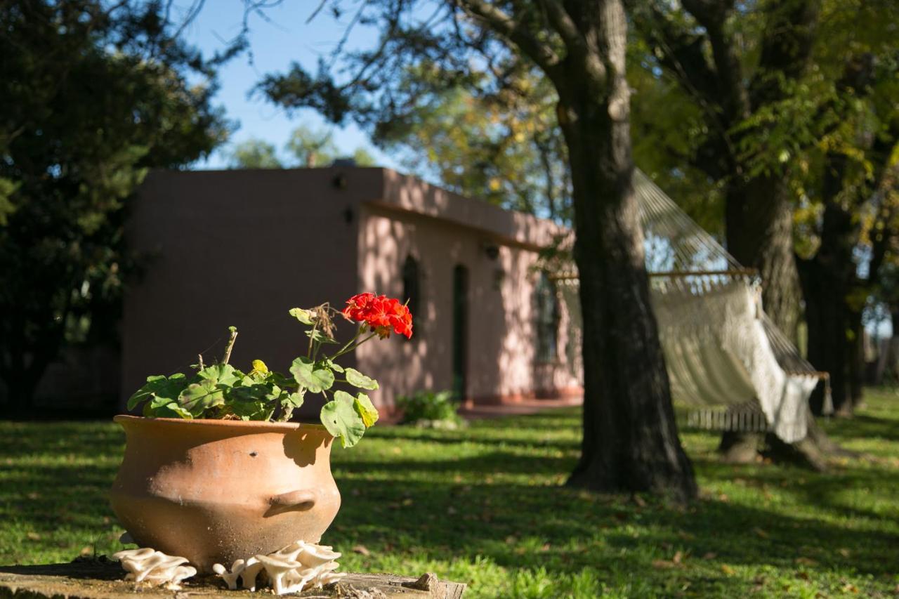 B&B San Antonio de Areco - Posada Don Salvador - Bed and Breakfast San Antonio de Areco