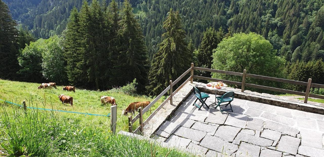 Chalet le Grenier - Romantique et exclusif - Chambres d’hôtes