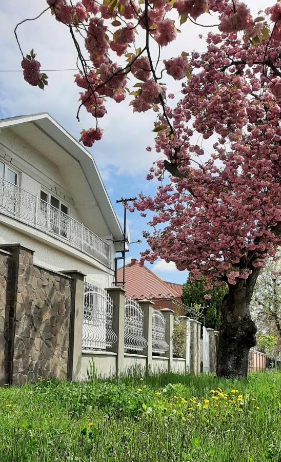 Lux GUEST HOUSe МUKACHEVO - B&B