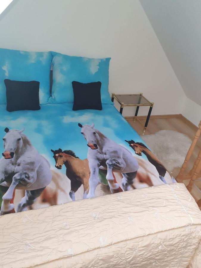 Apartament Limonka - Ferienwohnung Wierzchucino