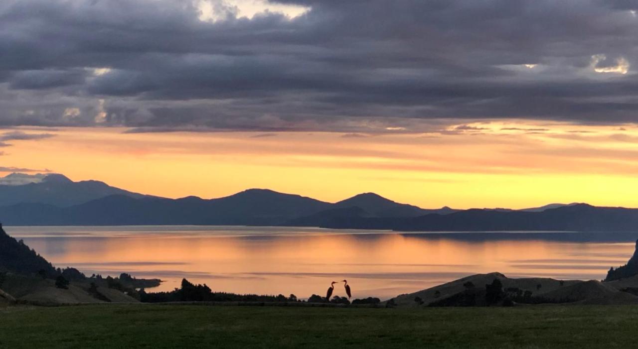 Hilltop Whakaipo Estate - B&B Taupo