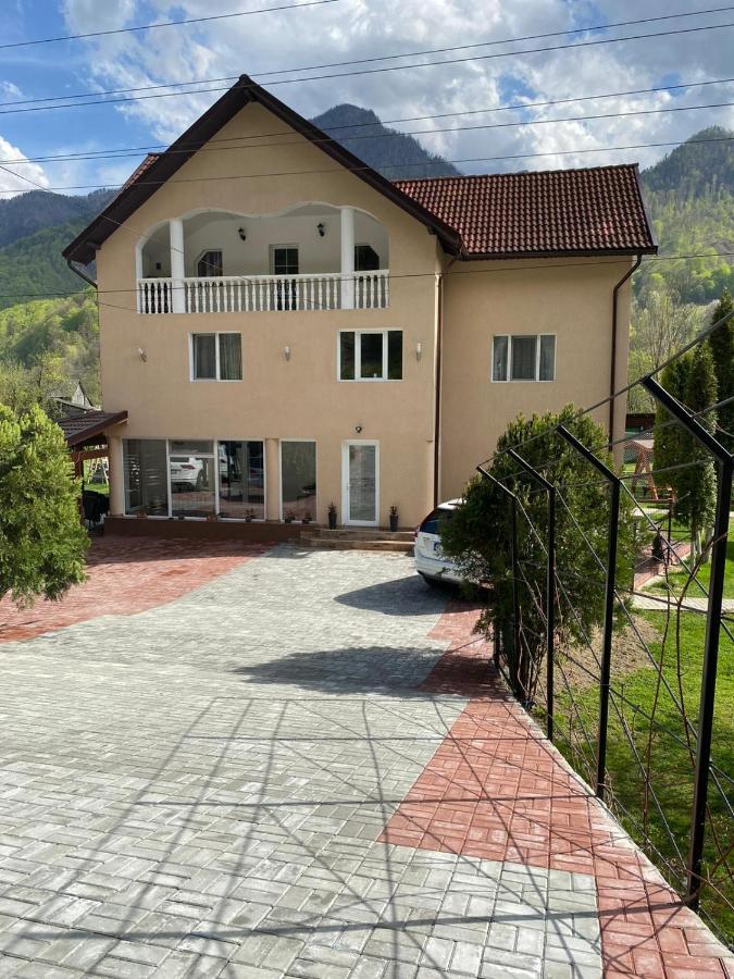 Dendy - Ferienwohnung Brezoi