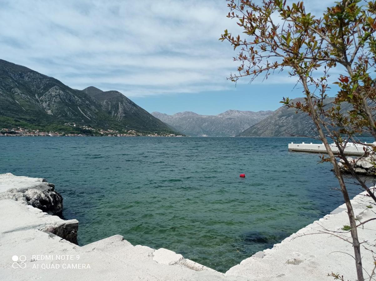 B&B Kotor - Apartman Milena 1 - Bed and Breakfast Kotor