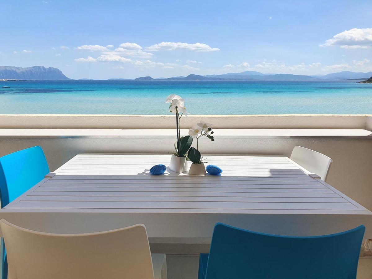 Appartamento delfino azzurro - B&B Golfo Aranci