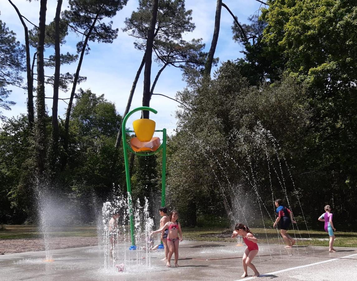 La Fournière de Jean - La Téouleyre - B&B Saint-Julien-en-Born