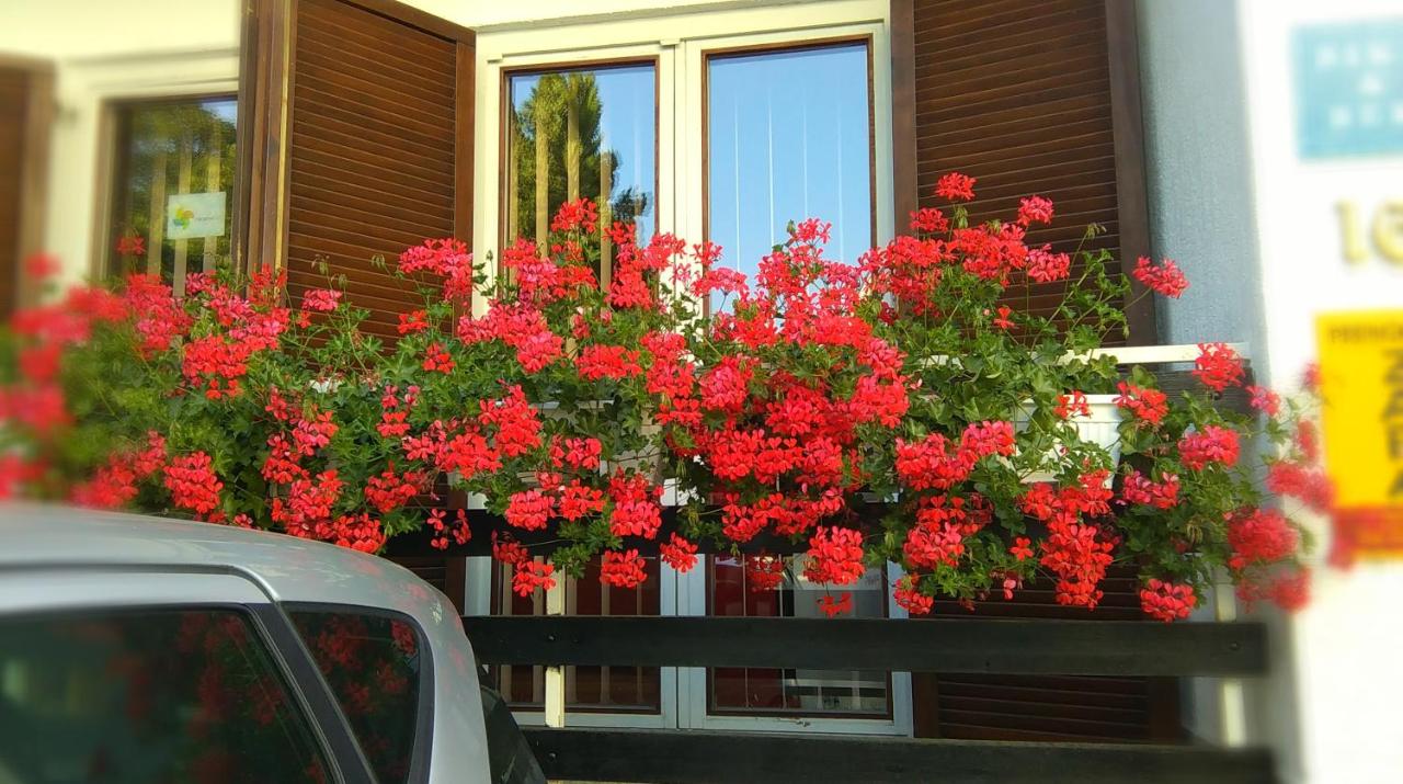 Accommodation Zara - B&B