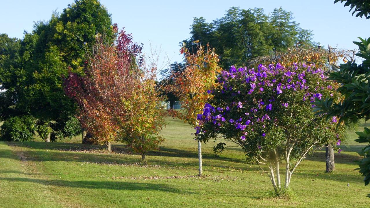 La Dolce Vita - B&B Beechmont
