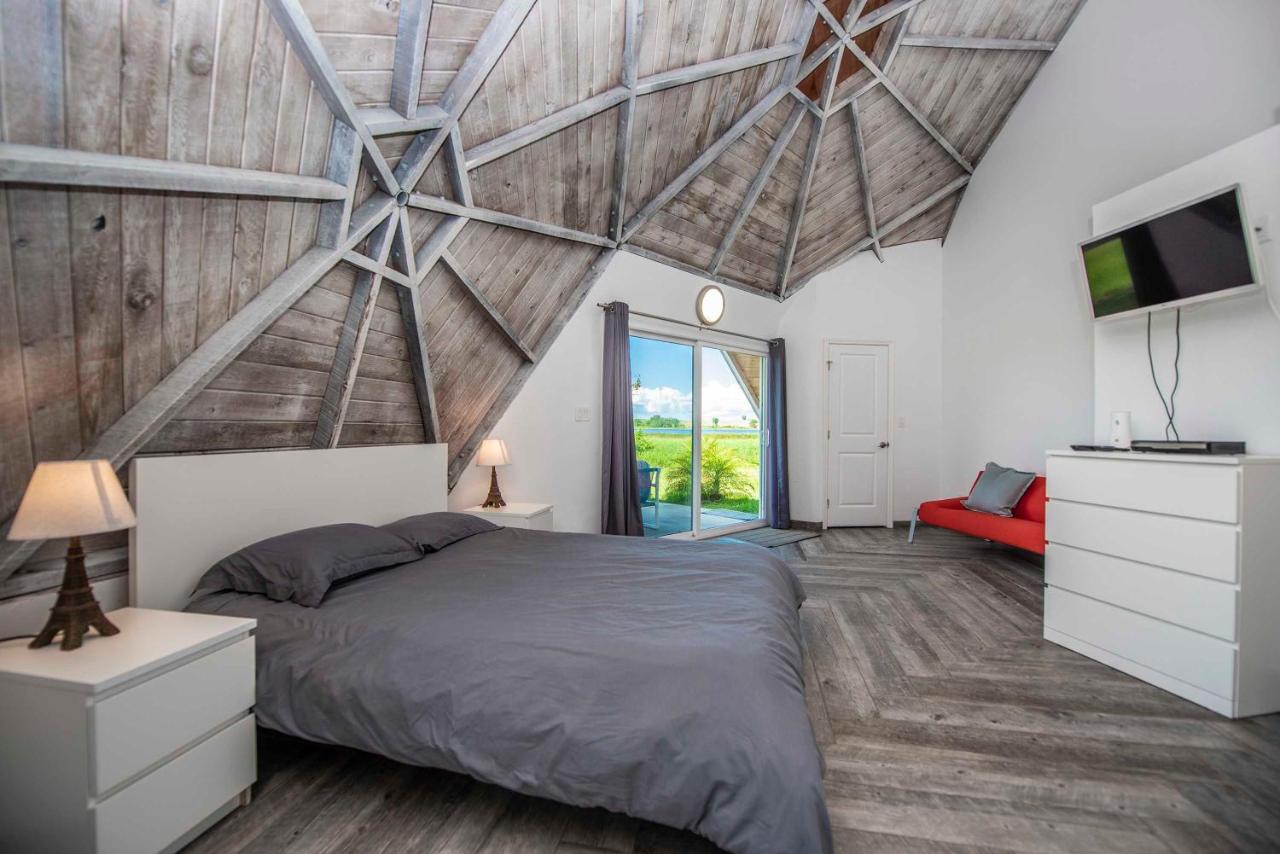 STUDIO 01 - Lake Sumner - Bed and Breakfast