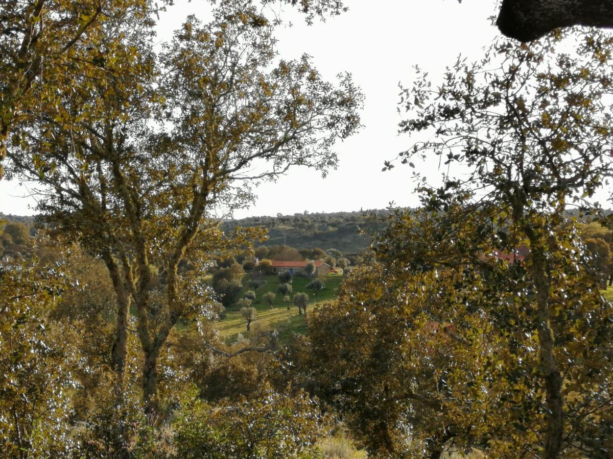 Monte da Fonte Santa de São Luís - B&B