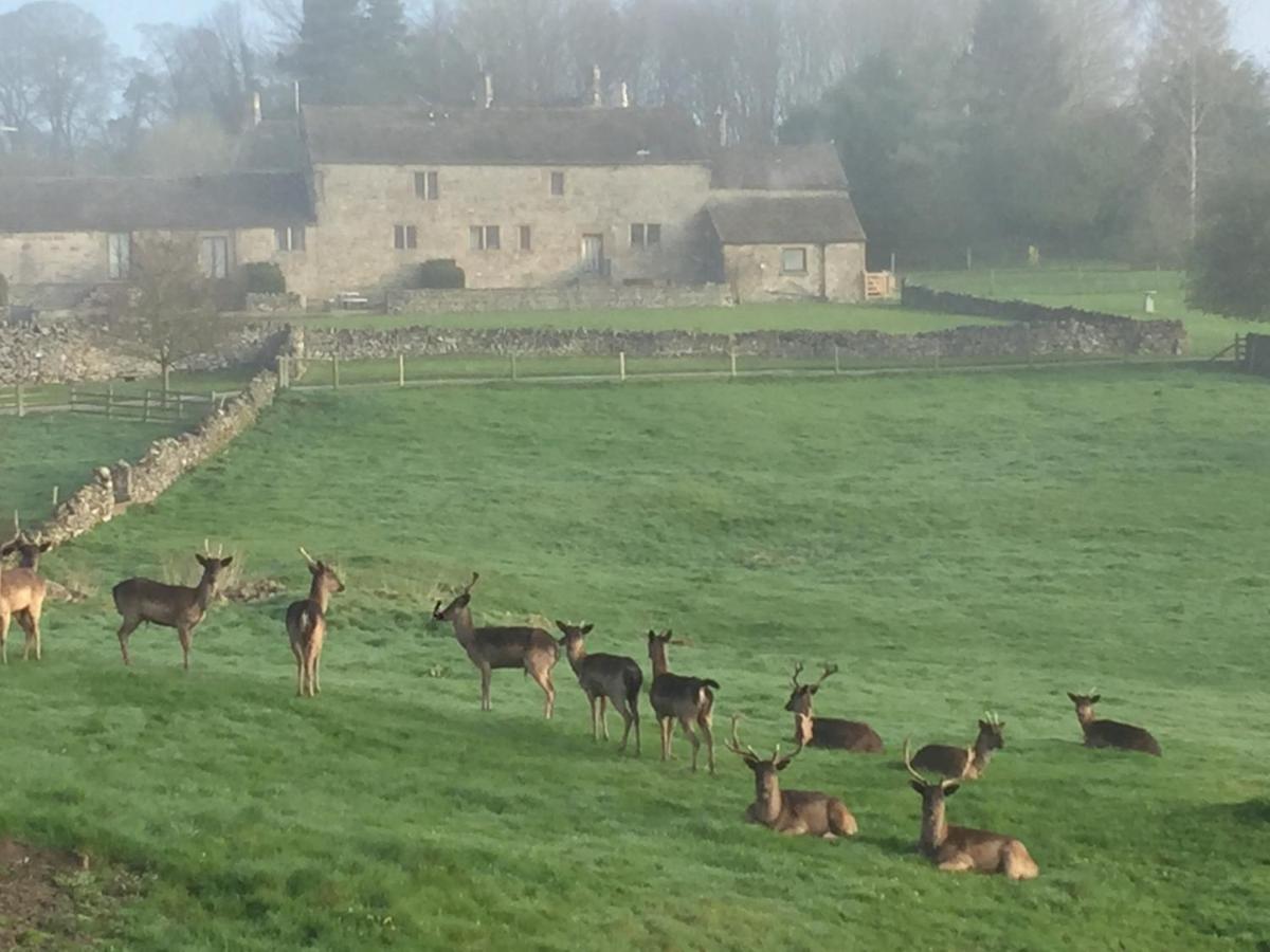 Derbyshire Cottage for 4, 1 hour per day private pool use - B&B